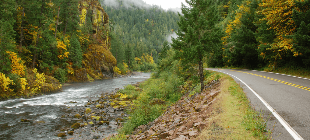 a river flowing through a forest next to a roadway in Oregon