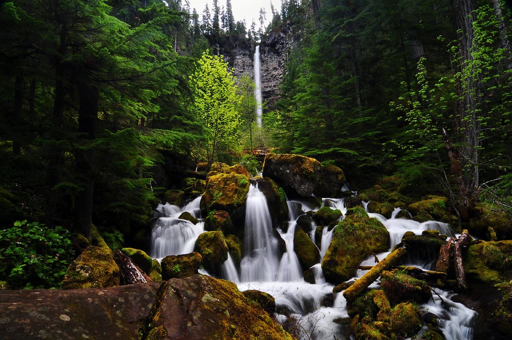 A waterfall with water flowing over rocks in the Oregon forest